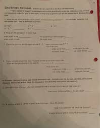 They are essentially just like any other chromosome and. Solved Sex Linked Crosses These Traits Are Carried On Th Chegg Com
