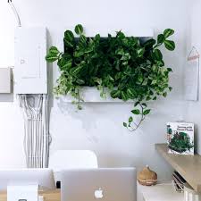 Handpicked local products · earn rewards & discounts Stunning Living Wall Ideas For Any Room