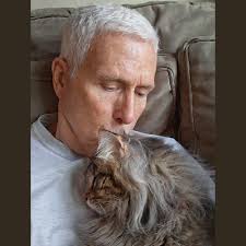 Cat adoption at Purr & Pour cafe