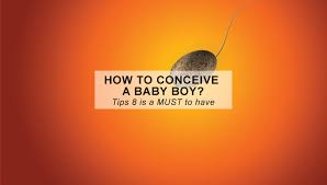 Rich in quinoa another good choice for people looking for solutions to how to conceive a boy naturally is quinoa, food that works by lowering acidity of the stomach and bodily fluids, implicitly of the cervical mucus, thus increases the chances of getting pregnant with a baby boy. How To Conceive A Baby Boy 8 Tips I Will Be Trying
