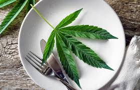 4 cbd oil australia org can i use stems and leaves to make cbd oil. The Nutritional Value Of Raw Cannabis What Research Indicates And What Clinicians Need To Know Crx Magazine Spring 2020