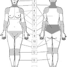 illustration of the 51 regions and 14 body parts on the