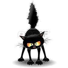 funny fierce black cat cartoon gatinho desenho ilustracoes arte do gato preto