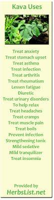 Kava Kava Benefits And Side Effects Herbs List Herbs Healing Herbs Herbs For Health
