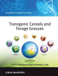 City of edmonton planning f. Citrus Pena 2008 Major Reference Works Wiley Online Library