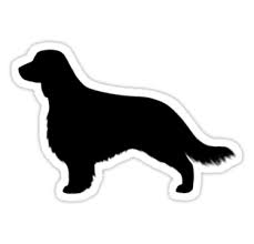 Black And White Springer Spaniel Clipart Welsh Springer Spaniel Dog Silhouette S Long Tail Sticker By Jenn Inashvili Dog Silhouette Spaniel Dog Welsh Springer Spaniel