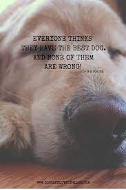 Everyone Thinks They Have The Best Dog An None Of Them Are Wrong Dog Quote Dogs Dogs Aesthetic Dogs And Puppi Dog Quotes Dog Quotes Love Best Dog Quotes