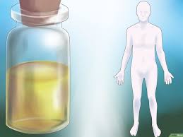 Comment Oindre De L Huile 10 Etapes Wikihow