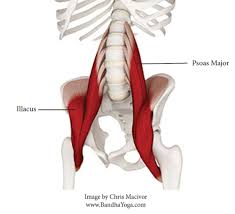 Maybe you would like to learn more about one of these? Why Your Hip Flexor Isn T So Hip Move On The Daley