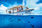 Scuba dive Palau with Palau Dive Adventures - Book Your Dive
