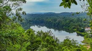 Tripadvisor has 15,299 reviews of suriname hotels, attractions, and restaurants making it your best suriname resource. How To Help Suriname Development And Industry The Borgen Project