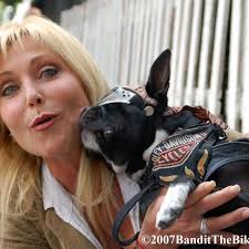 HAPPY 31st BIRTHDAY ADRIAN 🎂 🎂 🎂 Today, Little Chopper the Biker Dog Jr  had the pleasure of being invited and attending Adrian Ortega's 31 birthday  celebration, with his family and friends.