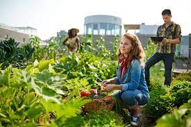 What kind of education do you although frequently confused with horticulture because it also deals with plants, botany is a. Horticulture Vs Botany What S The Difference Between Them