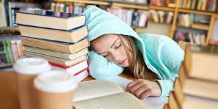 What to Eat When Studying to Get Better Focus and Energy? | Lemon Grad
