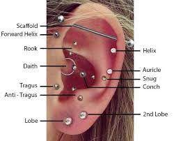 Related Image Top Ear Piercing Ear Piercings Chart Ear Piercing Diagram