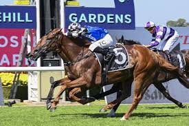 Just Horse Racing - News update
