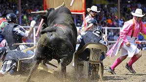 Life Death And Raging Bulls The Angola Prison Rodeo
