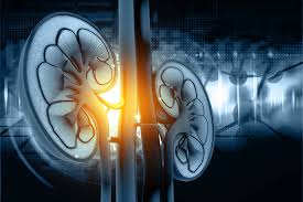 Do We Have A Consensus On Iron Marker Cutoffs In Chronic Kidney Disease