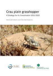 Votre météo quand ça compte vraiment mc. Pdf Crau Plain Grasshopper Conservation Strategy