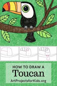 Drawing for kids helps them develop the freedom to express and and you know what? How To Draw A Toucan Art Projects For Kids Toucan Art Art Drawings For Kids Drawing Lessons For Kids