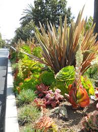 Succulents Ca Friendly Http Rogersgardenslandscape Com Succulent Landscape Design Drought Tolerant Garden Succulent Landscaping