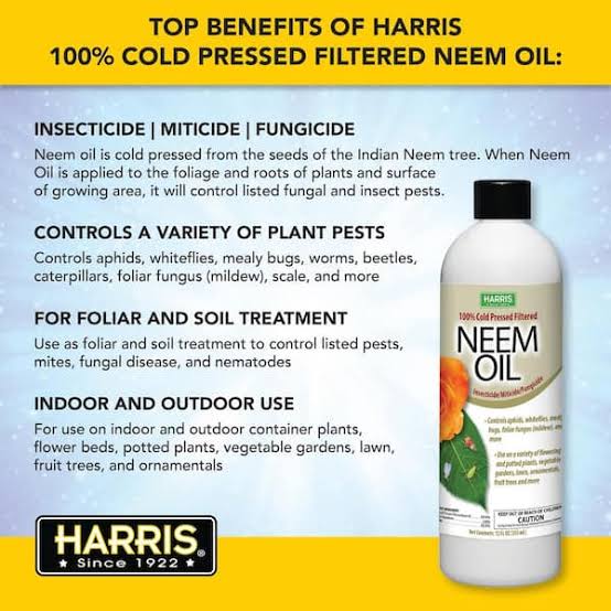 Harris 12 oz. 100% Cold Pressed Unrefined Cosmetic Grade Neem Oil NEEM-12 -  The Home Depot