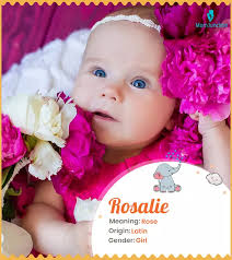 Rosalie Name Meaning, Origin, History, And Popularity