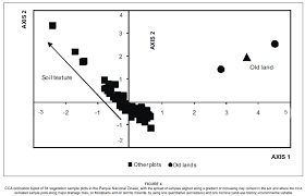 Image result for Perotis patens