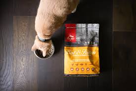 Cats and kittens possess a biological need for animal protein. The Best Cat Food Of 2021 Reviews By Your Best Digs