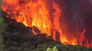 Maybe you would like to learn more about one of these? Incendios Mas De 700 Bomberos Intentan Sofocar El Incendio En El Algarve Luso