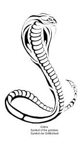 There are multiple types of snake tattoos, such as tribal, king cobra, rattle and coiled snake. 68 Snake Ideas Snake Cobra Tattoo Snake Tattoo