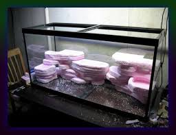 8 what should you add to a fish aquarium? Diy Aquarium Background Rock Ledges Diy Aquarium Aquarium Backgrounds Diy Fish Tank