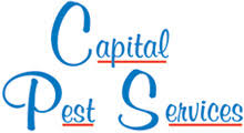 At cleardefense pest control in raleigh, nc, we use only environmentally responsible products. Raleigh Durham Nc S Leader In Pest Control Services Capital Pest Services Inc