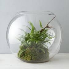 Terrarium Containers Terrarium Accessories For How To Make A Terrarium At Terrain Terrarium Fishbowl Terrarium Beautiful Terrariums