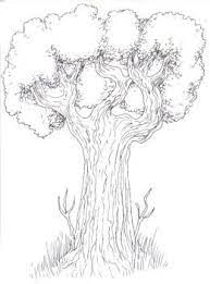 Drawing Trees How To Draw A Tree Step By Step Tree Drawing Drawings Art Drawings