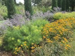 Subzero temperatures damage plants severely, especially thornless and trailing types. Trusted Plants For Kansas Landscapes Dyck Arboretum