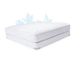 Naturepedic Organic Mattresses Healthy Sleep Organic Mattresses Mattress