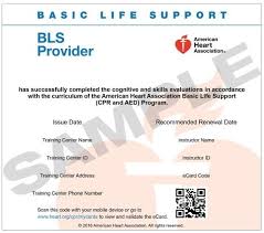 When you initially claimed your ecard, you had to setup an account on the aha's website. Aha Bls E Card Pasco Hernando State College Store