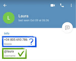 Malaysia country codes are followed by these area codes. Get Phone Number From Telegram Id User Callmebot Api