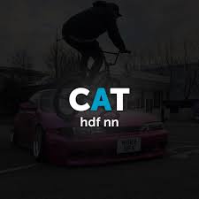 1440x2960 qhd 1440x2560 qhd 1080x1920 full hd 720x1280 hd. Zt7r0btsp2n7m