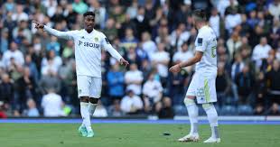 We did not find results for: Watch Junior Firpo Gets First Leeds Assist With Perfect Cross For Bamford Planet Football