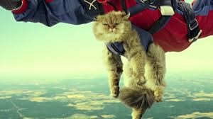 Ledna se však přejmenovala na ge money bank, a. Ge Money Bank New Positioning Eugen Suman S Portfolio