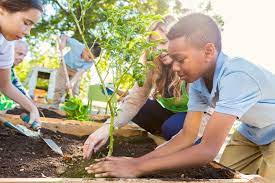Physical education leads to physical literacy, which is. 6 Volunteering Activities To Help Kids Build A Better World