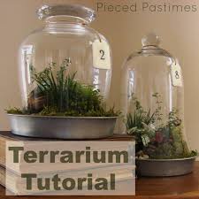 Terrarium Tutorial Terrarium Plants Mini Garden