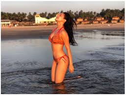 She was born in mumbai, maharashtra, india. Amyra Dastur Sets The Temperature Soaring With This Bikini Clad Photo Hindi Movie News Times Of India