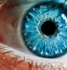 Bright Turquoise Blue Iris Blue Eyes Aesthetic Rare Eyes Rare Eye Colors