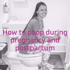 Taking A Poop During Pregnancy Or The Vagina Whisperer