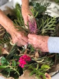 Hawthorn (crataegus oxycanthoides) is a lovely tree native to europe, western asia and north america. Gardening For Grief