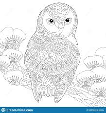 Pin By Paivi Vidgren On Pollot In 2020 Owl Coloring Pages Coloring Pages Owl