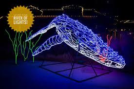 River Of Lights 195 Photos Local Business 2601 Central Ave Nw Albuquerque Nm 87104